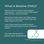 TMG Suplement (Trimetilglicin)