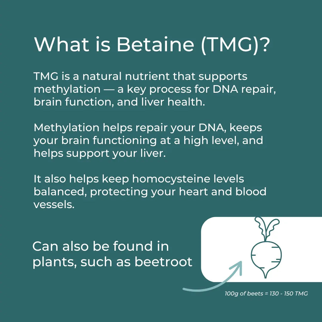 TMG Suplement (Trimetilglicin)
