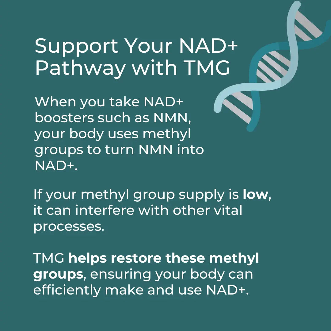 TMG Suplement (Trimetilglicin)