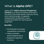 Alfa GPC (Alfa-Glicerofosfokolin)