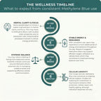 Methylene Blue wellness timeline infographic – teal and cream background showing what to expect from consistent use: after 2 weeks mental clarity and focus, after 6 weeks stable energy and resilience, after 12 weeks systemic balance, after 6 months cellular longevity