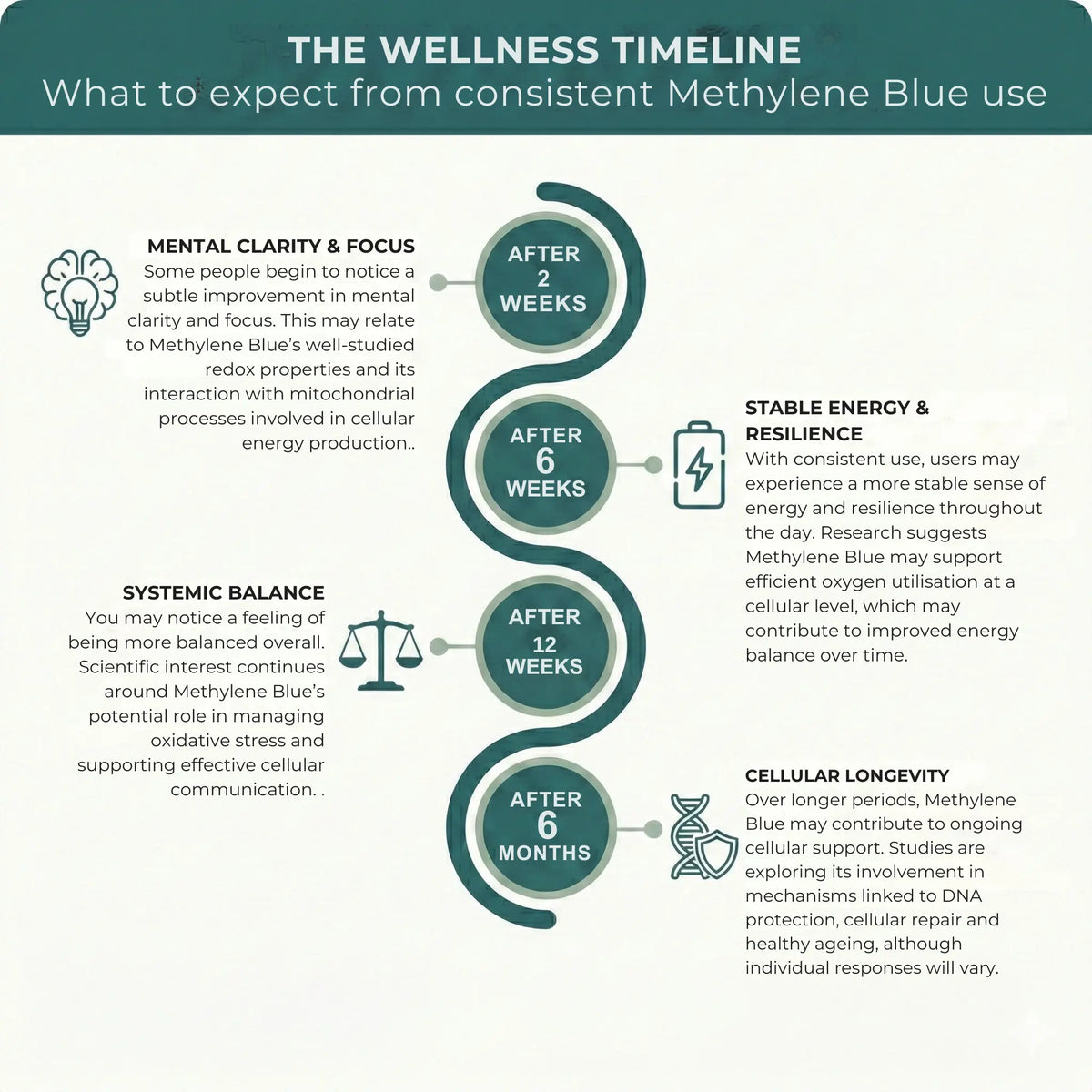 Methylene Blue wellness timeline infographic – teal and cream background showing what to expect from consistent use: after 2 weeks mental clarity and focus, after 6 weeks stable energy and resilience, after 12 weeks systemic balance, after 6 months cellular longevity