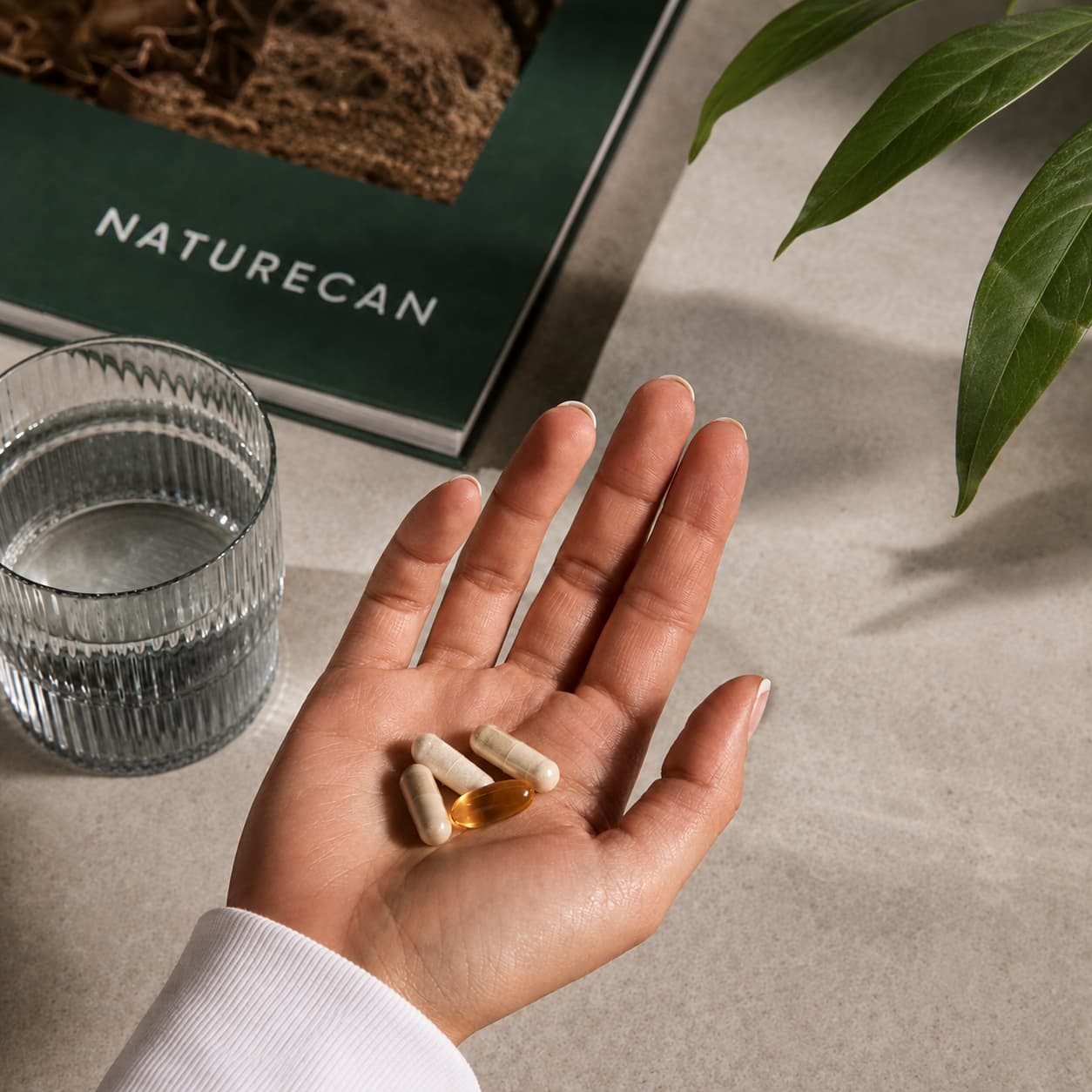 Paket Dodataka za PMS
