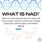 What is NAD? – infographic with DNA strand and molecular structure explaining NAD+ as a vital coenzyme found in every cell, critical for energy production, cellular repair and healthy ageing