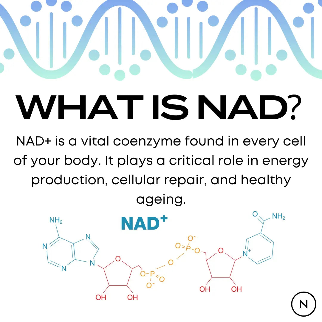 What is NAD? – infographic with DNA strand and molecular structure explaining NAD+ as a vital coenzyme found in every cell, critical for energy production, cellular repair and healthy ageing